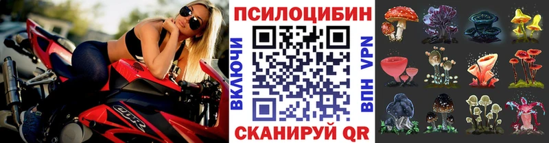 Псилоцибиновые грибы прущие грибы  где можно купить наркотик  Нюрба 