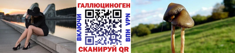 Псилоцибиновые грибы прущие грибы Нюрба